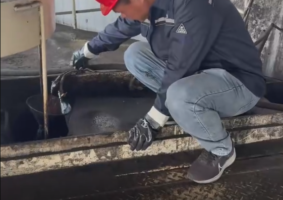 场景实拍[视频]